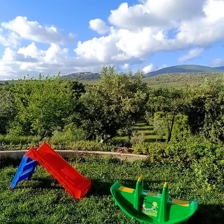 4t