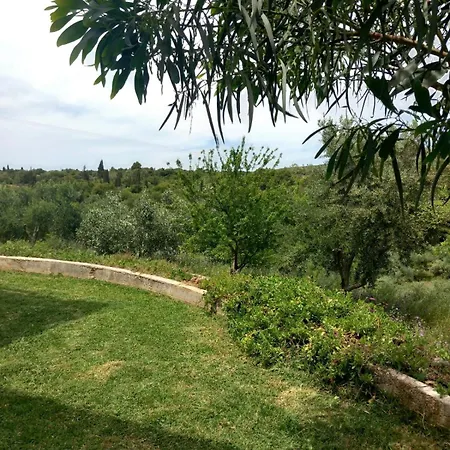 4t Apartament *